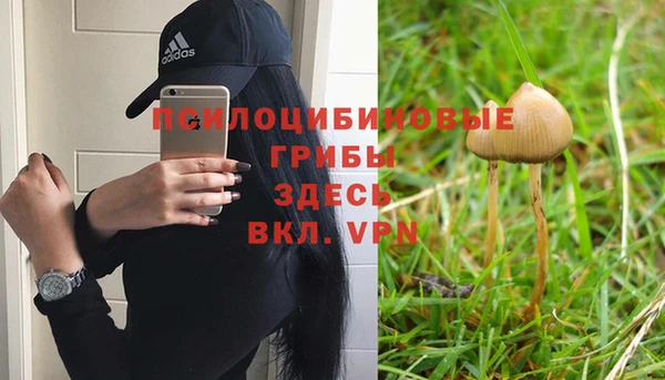 кокаин Дмитриев