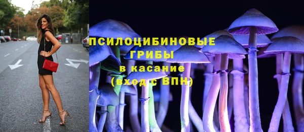 бошки Дмитровск